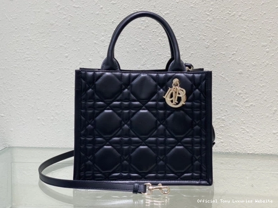 Tony Luxuries SMALL BOOK TOTE-26.5*21*14CM diro 0818